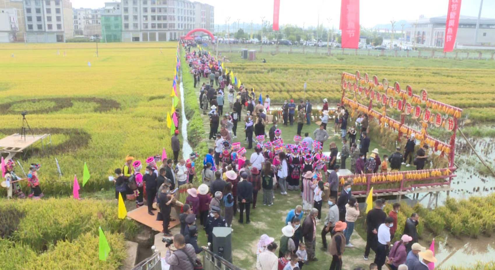 CDDF00D9-8E9C-48B4-9681-329B36AC6517.jpeg CDDF00D9-8E9C-48B4-9681-329B36AC6517.jpeg