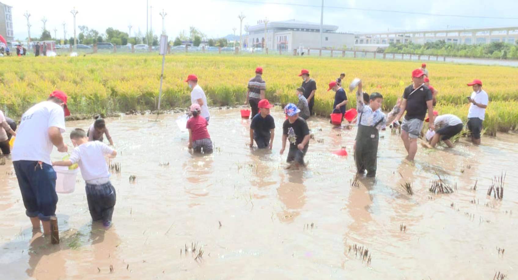 4F8CE919-414B-414B-B949-CB4881926637.jpeg 4F8CE919-414B-414B-B949-CB4881926637.jpeg