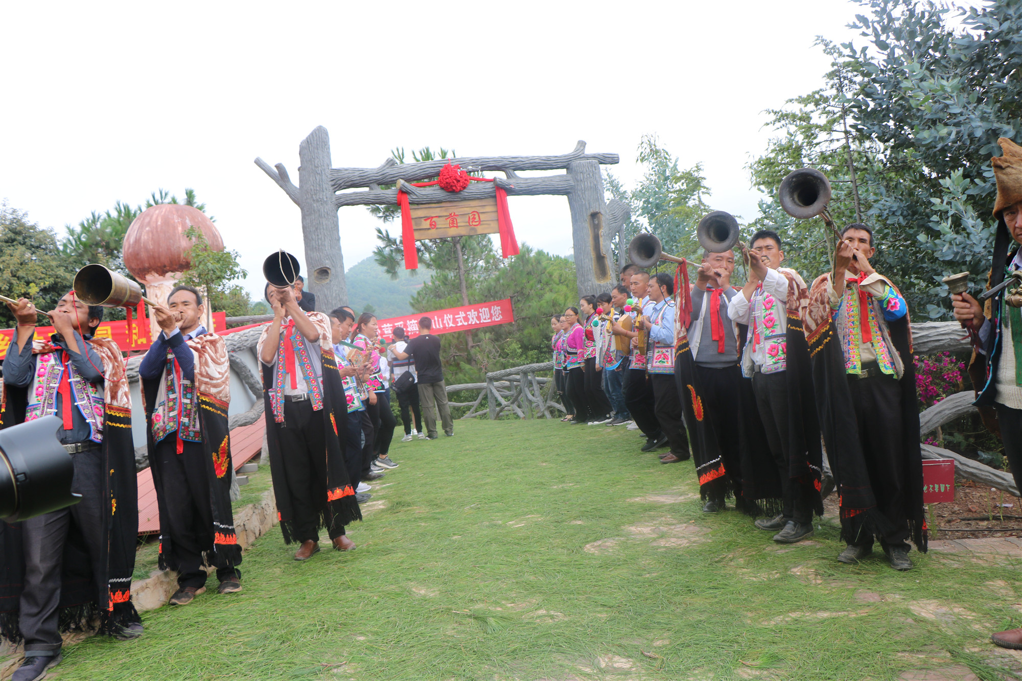 复制图片 复制图片