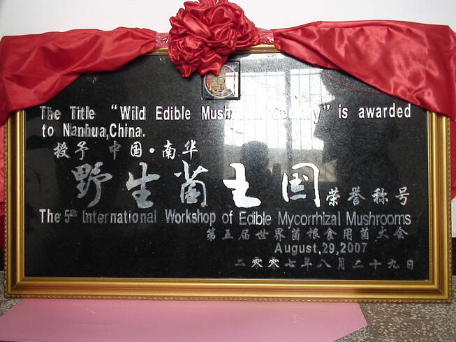 世界野生菌王国荣誉称号.png